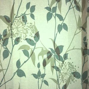 Morning Dew Caribe 🌹